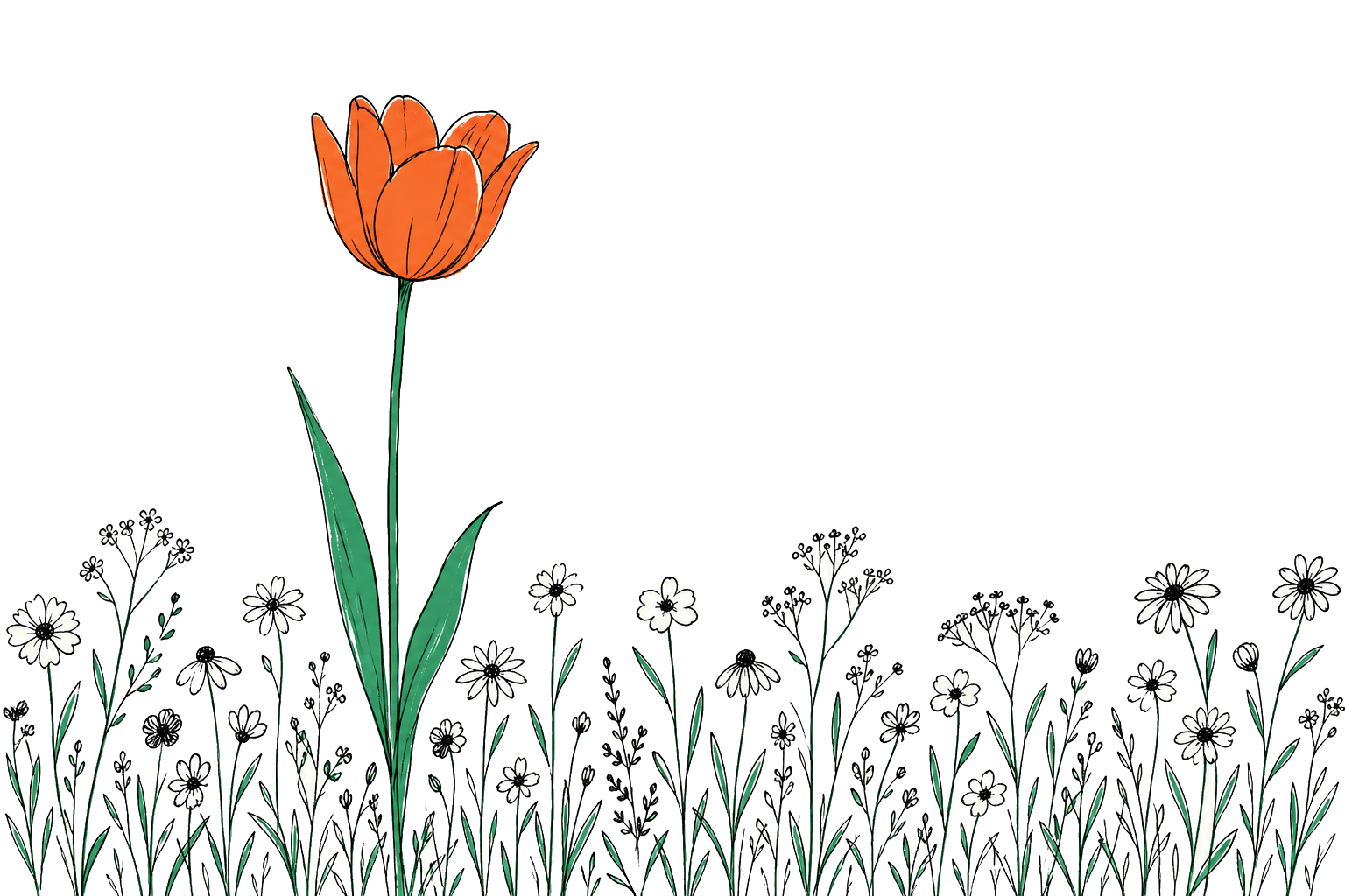 Een hoge tulp die ver uitsteekt boven een veld van kortere bloemen — Nederland boven het wereldgemiddelde