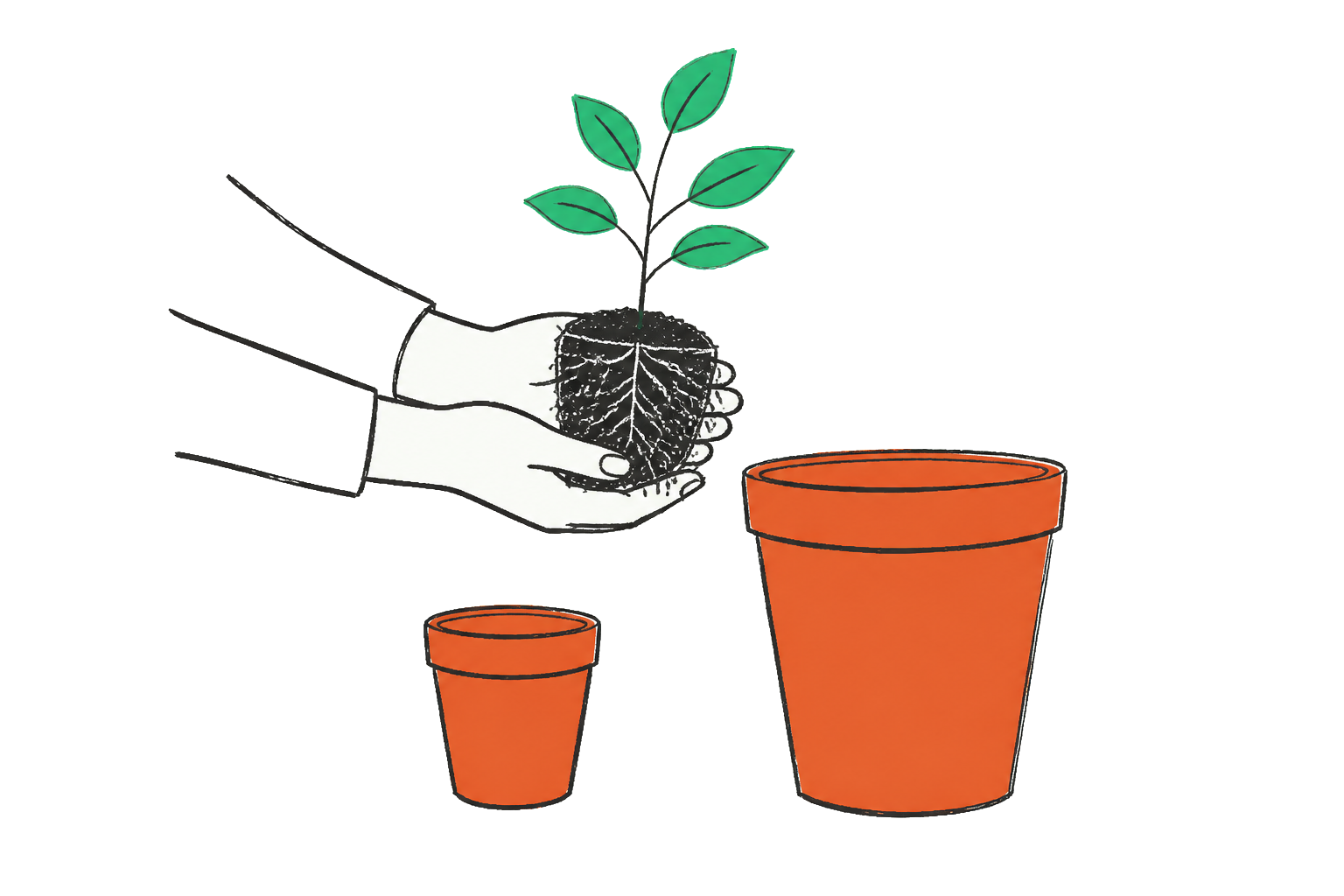 Handen die een plant met wortels en al zorgvuldig overzetten naar een grotere pot