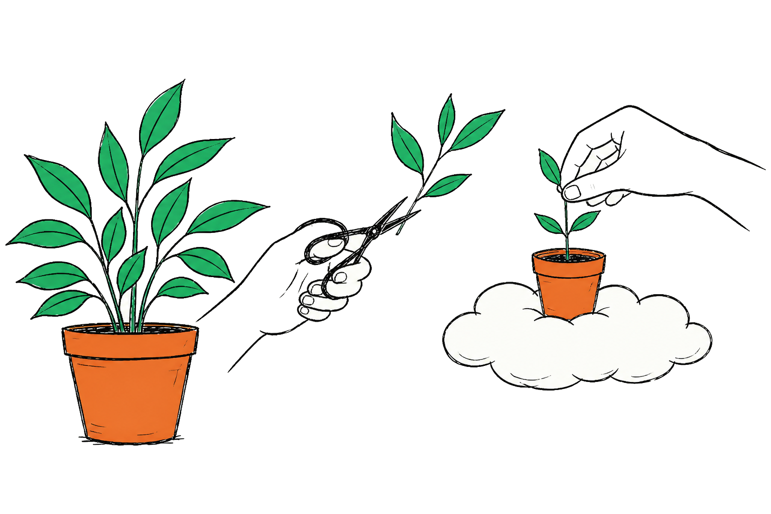 Handen planten een stekje van een plant in een tweede pot op een wolk, als metafoor voor een externe WordPress-back-up
